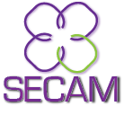my logo