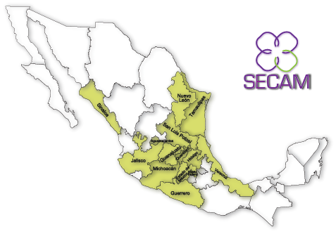 Clientes SECAM